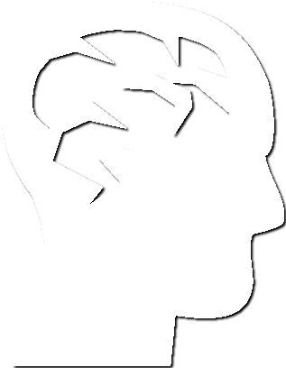 human services programs